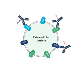 EV_graphic_strategy_2_V1-1 (1)