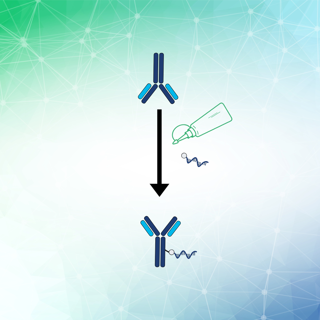 PICO_Labeling_Service